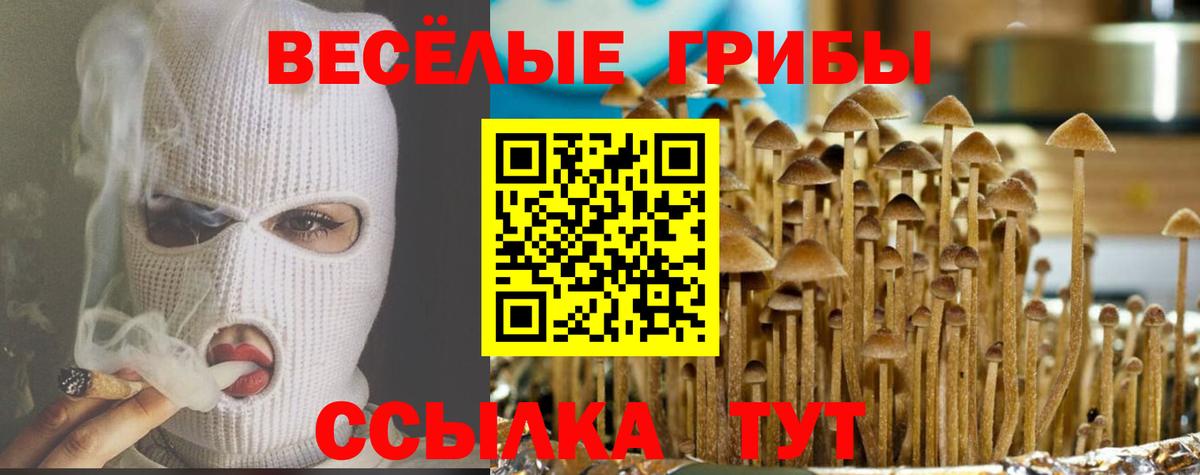 где продают   Вход с VPN  Усть-Джегута  Галлюциногенные грибы MAGIC MUSHROOMS 