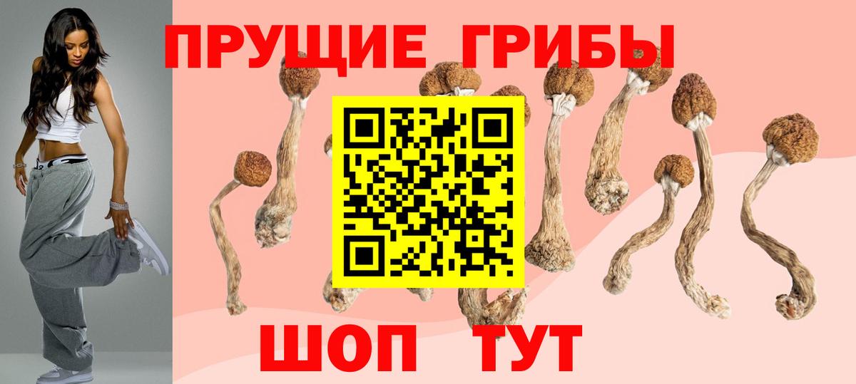 Галлюциногенные грибы мухоморы Усть-Джегута