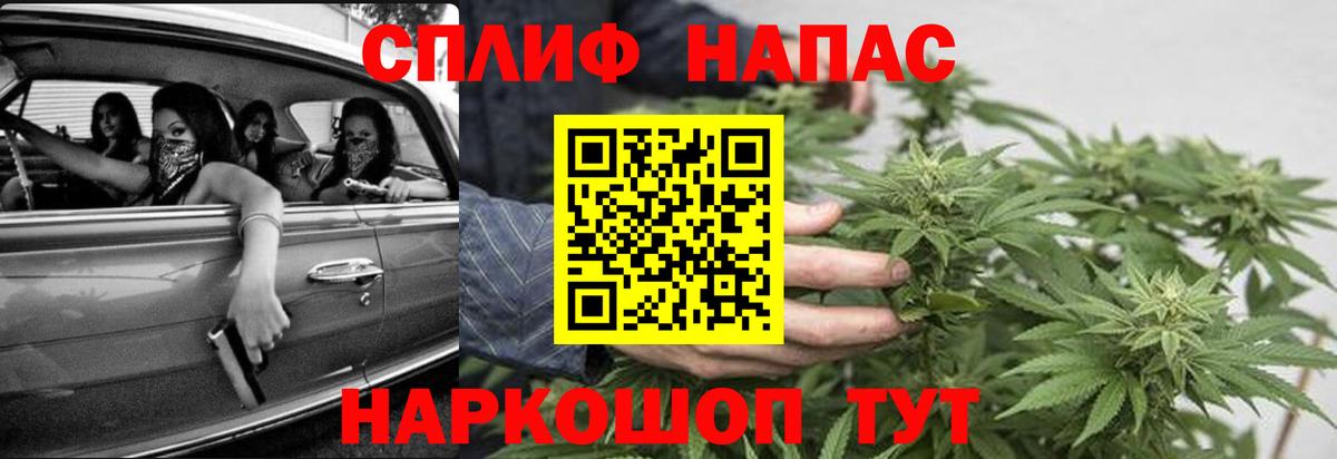 Каннабис конопля Усть-Джегута